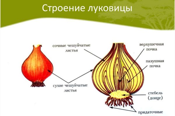 Как попасть на кракен с айфона