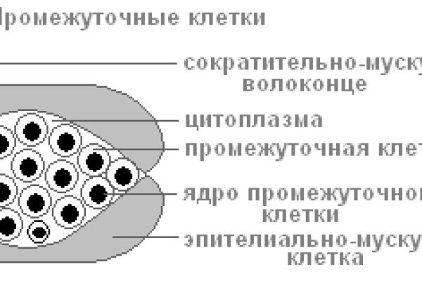 Кракен орг