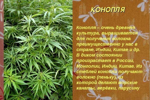 Зеркала сайта кракен tor