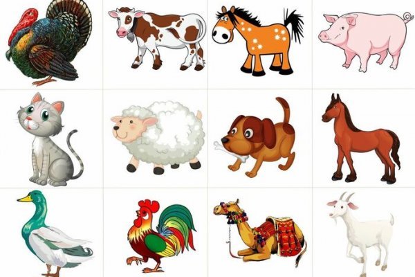 Кракен нарка шоп