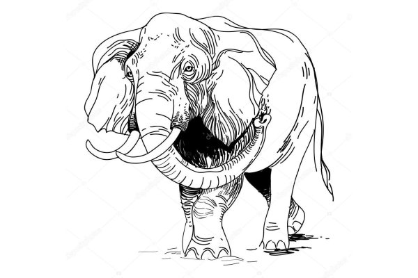 Оригинальная ссылка на магазин кракен