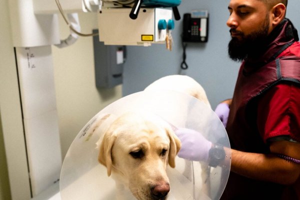 Магазин кракен как попасть