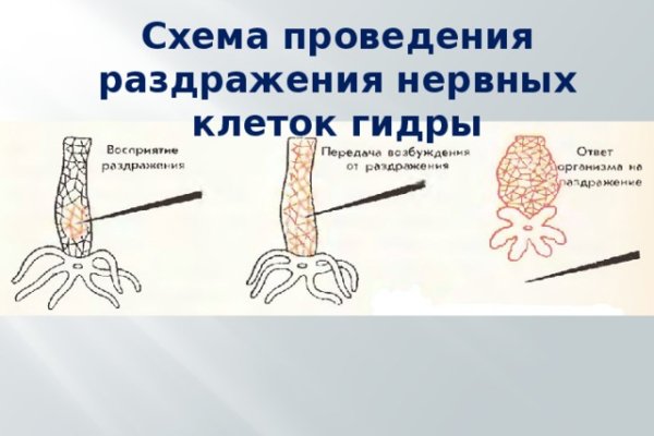 Kraken сайт зеркала