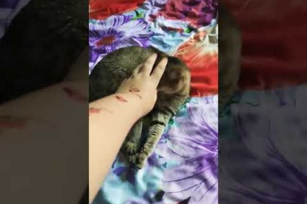 Кракен маркетплейс зеркало