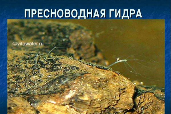 Кракен шоп нарк